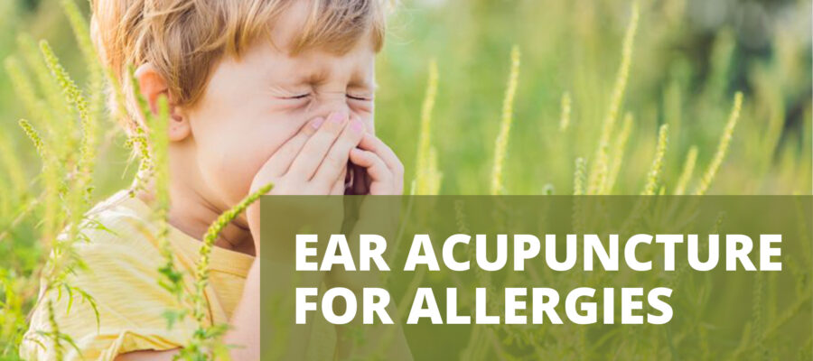 Ear Acupuncture for Allergies